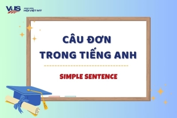Simple Sentences - Câu đơn trong tiếng Anh